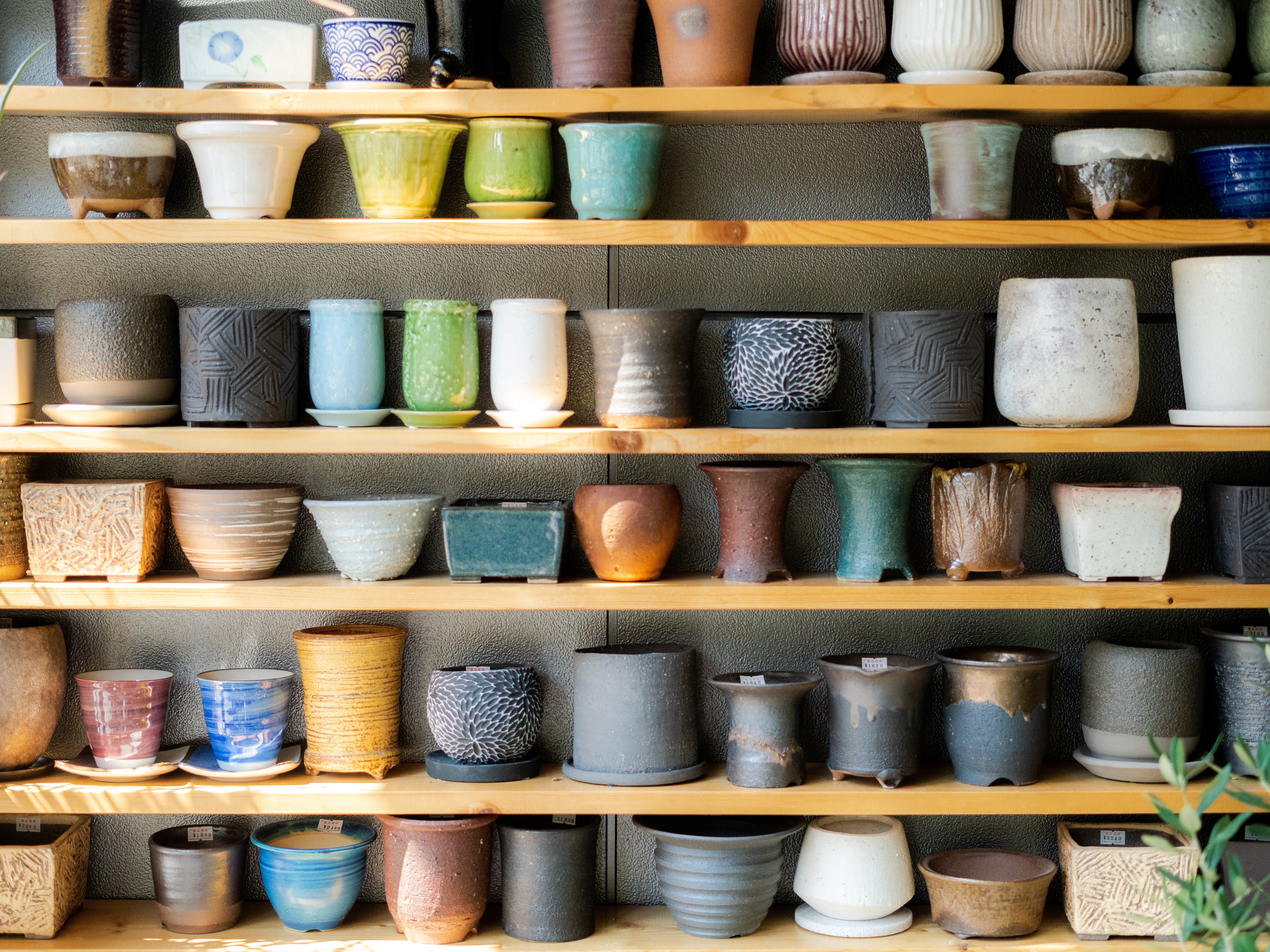 焼き物(やきもの)とは