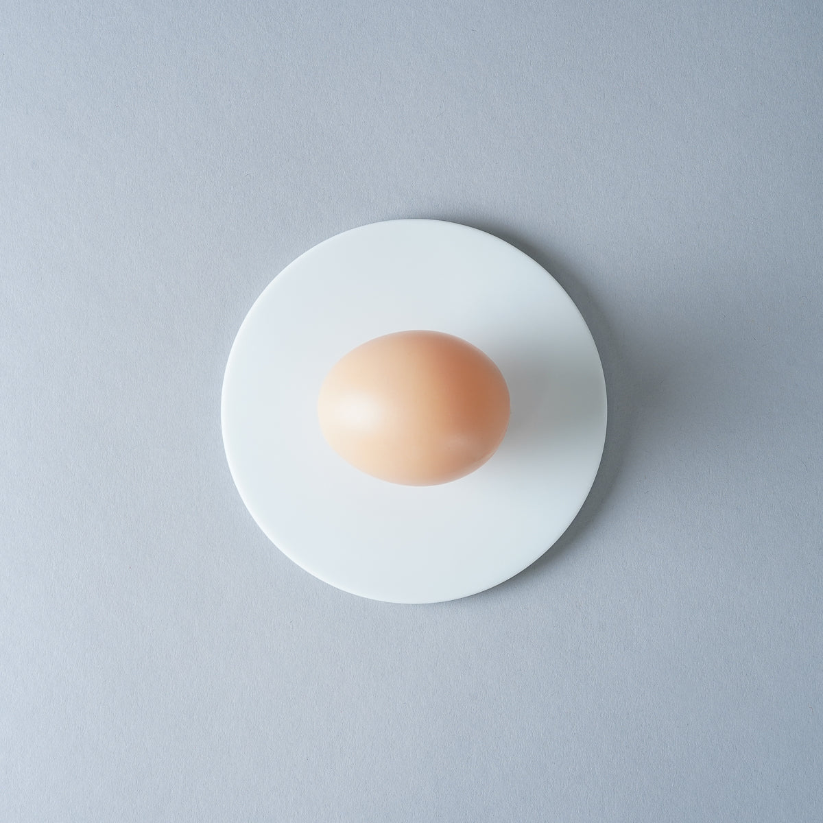 伊万里焼 極フラットプレート(XS) 11cm Hataman Studio1156