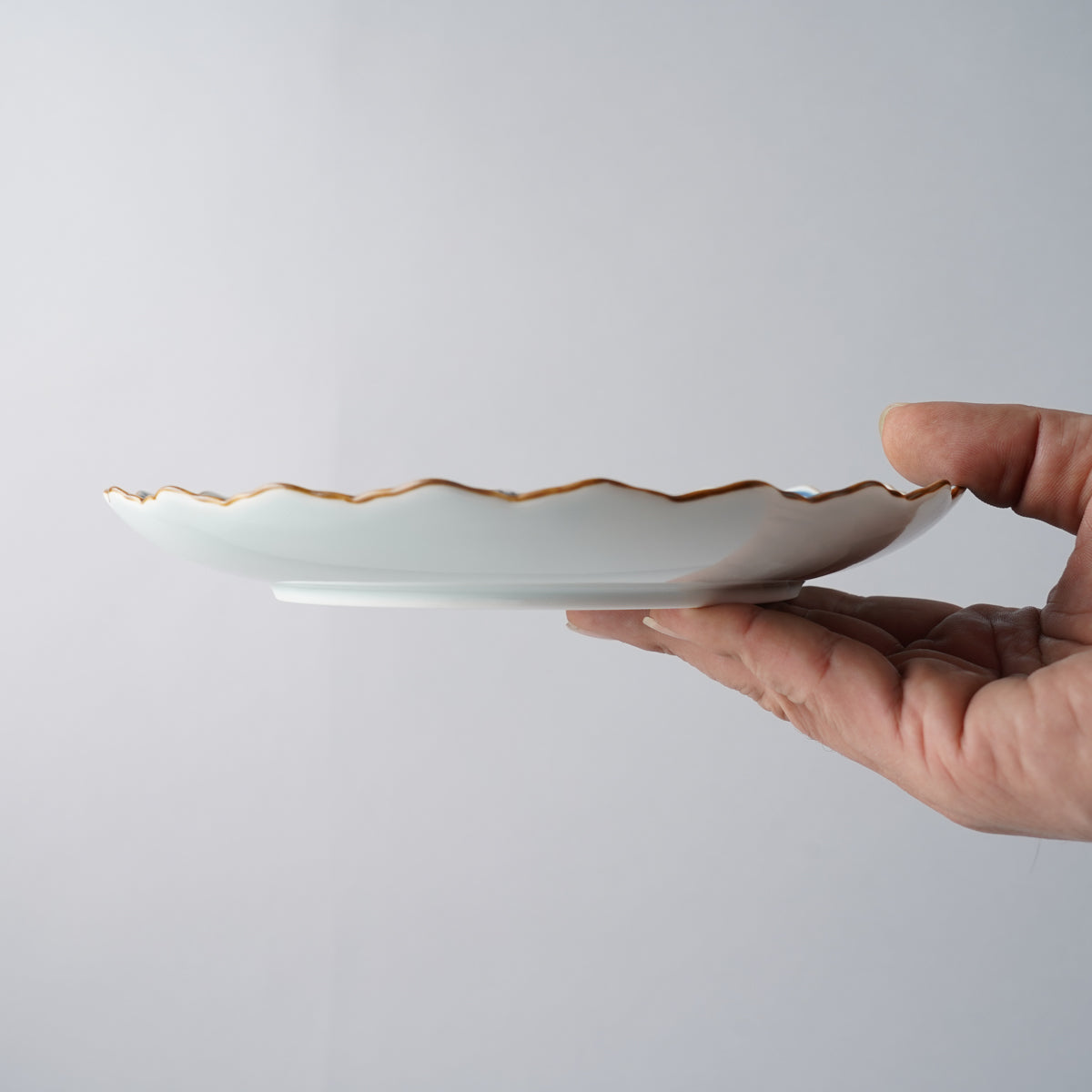 有田焼 渕錆古染付 フォレストプレート 20cm Housen Studio1156