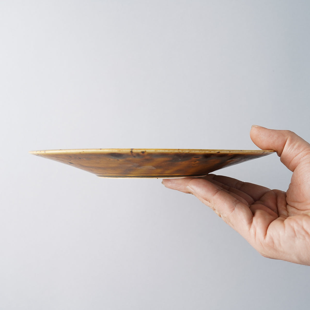 美濃焼 鉄華 ラウンドプレート(M) 21cm Mino-ware Studio1156