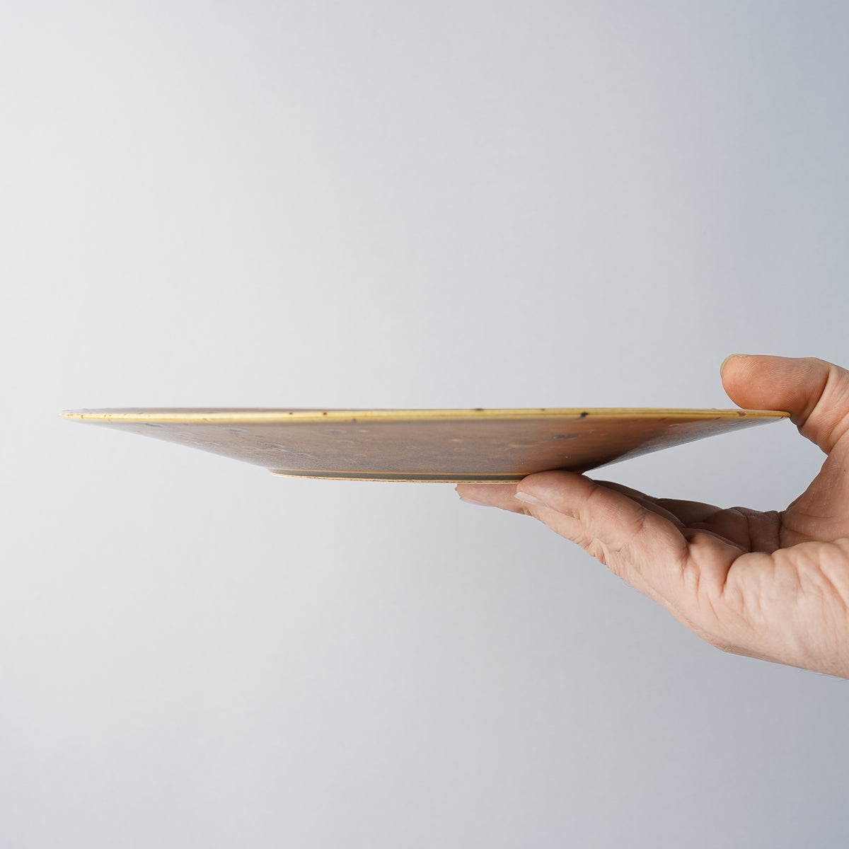 美濃焼 鉄華 ラウンドプレート(L) 25cm Mino-ware Studio1156