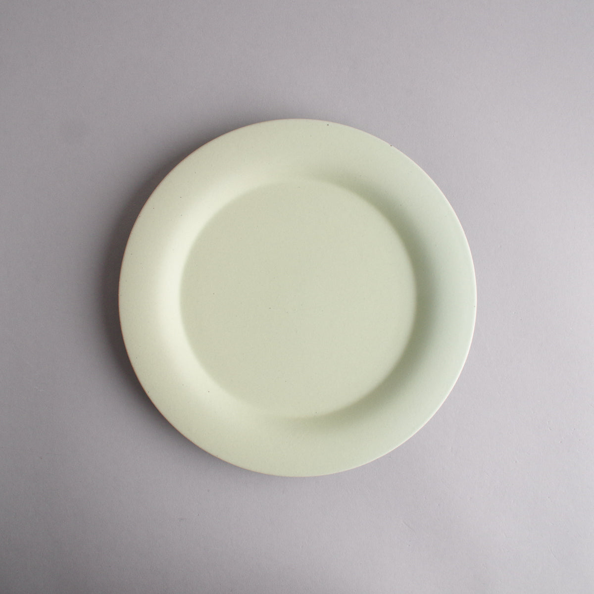 波佐見焼 JIYUシリーズ リムプレート(L) 23cm 白緑(びゃくろく) nucca Studio1156