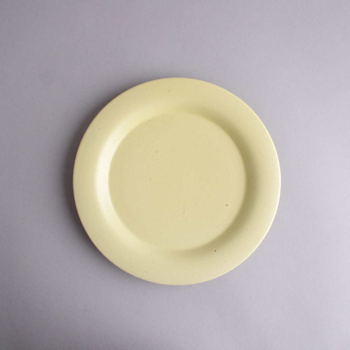 波佐見焼 JIYUシリーズ リムプレート(L) 23cm 蒲公英(たんぽぽ) nucca Studio1156