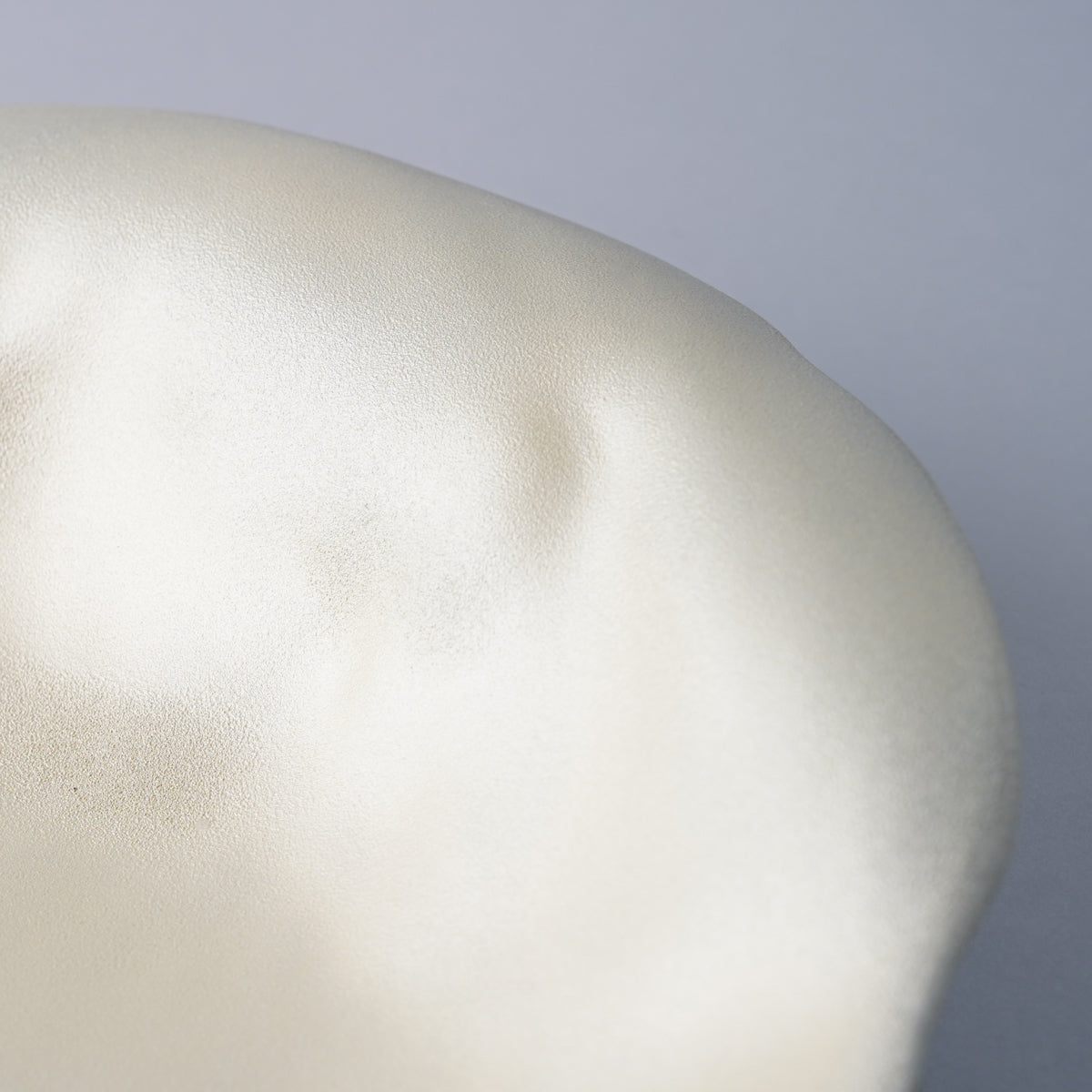 有田焼 薔薇の花びらプレート 23.5cm Riso Studio1156