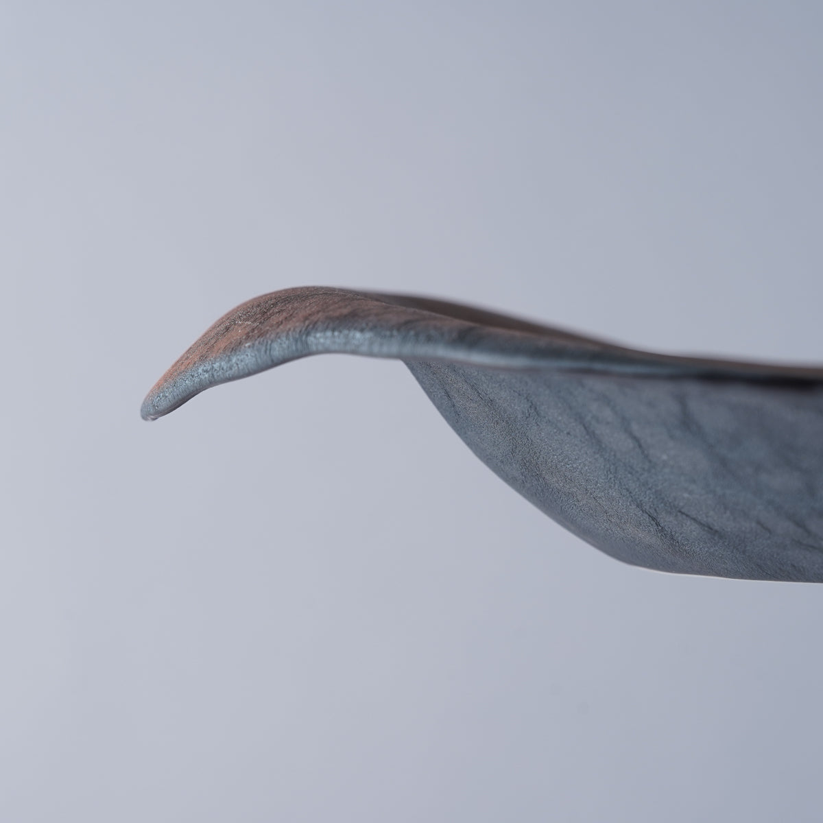 有田焼 薔薇の花びらプレート 23.5cm Riso Studio1156