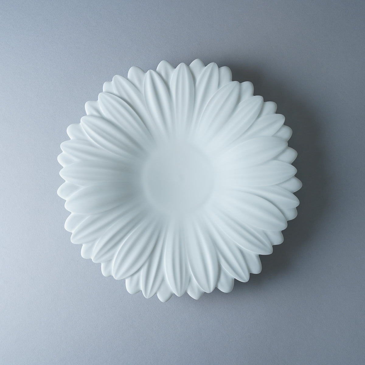 有田焼 白磁マット ガーベラプレート 27cm Riso Studio1156