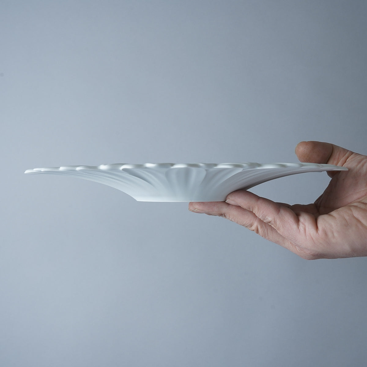 有田焼 白磁マット ガーベラプレート 27cm Riso Studio1156