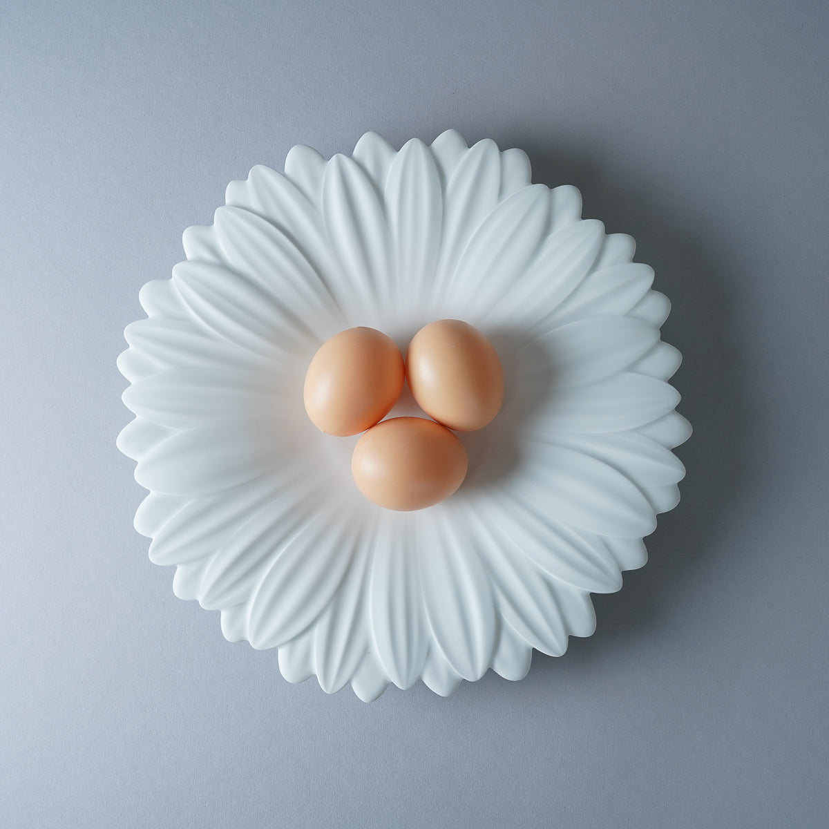 有田焼 白磁マット ガーベラプレート 27cm Riso Studio1156