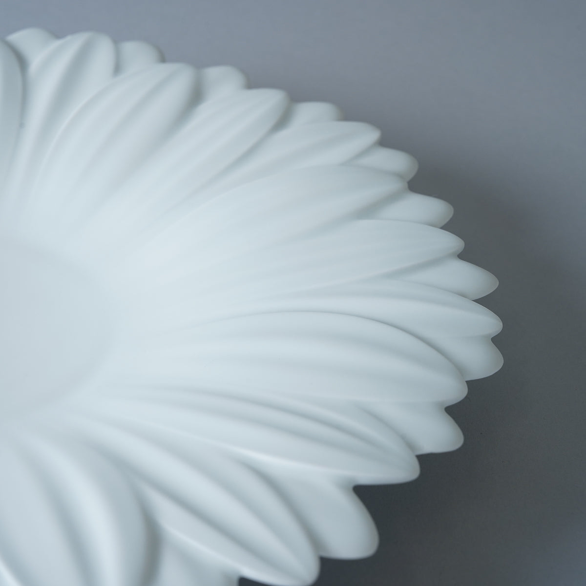 有田焼 白磁マット ガーベラプレート 27cm Riso Studio1156