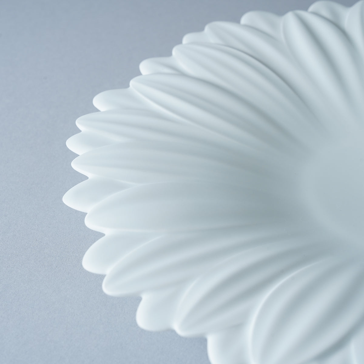 有田焼 白磁マット ガーベラプレート 27cm Riso Studio1156
