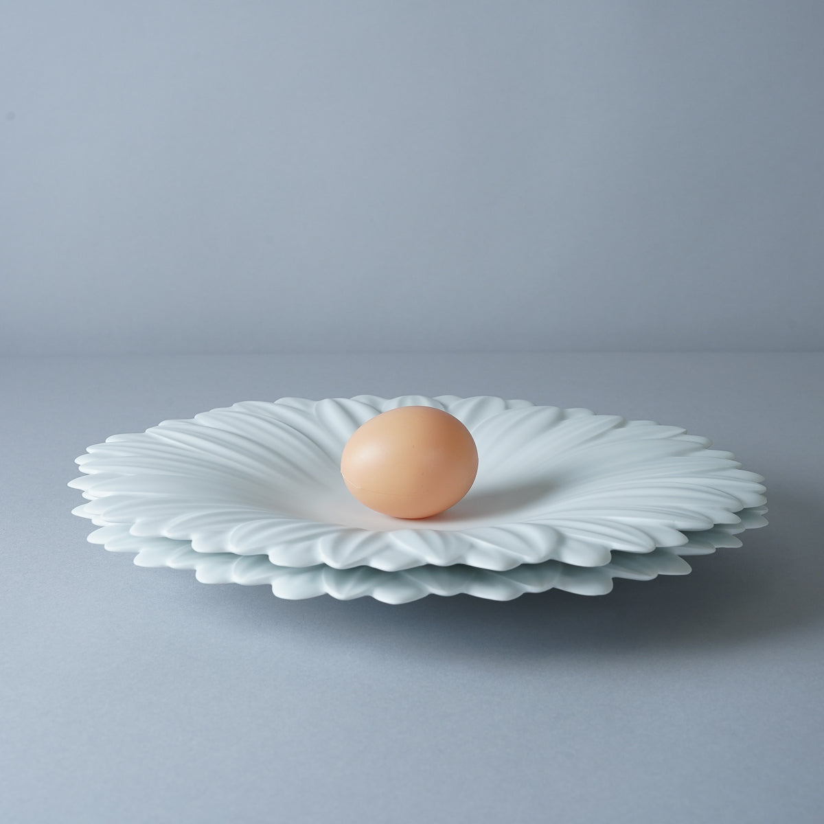 有田焼 白磁マット ガーベラプレート 27cm Riso Studio1156