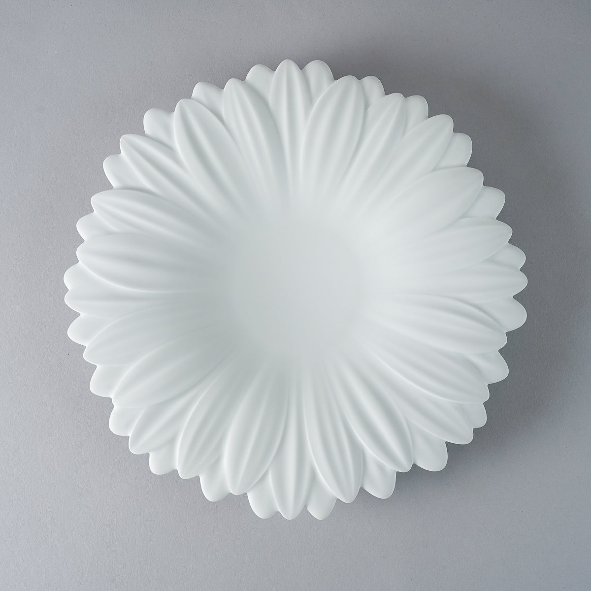 有田焼 白磁マット ガーベラプレート 27cm Riso Studio1156