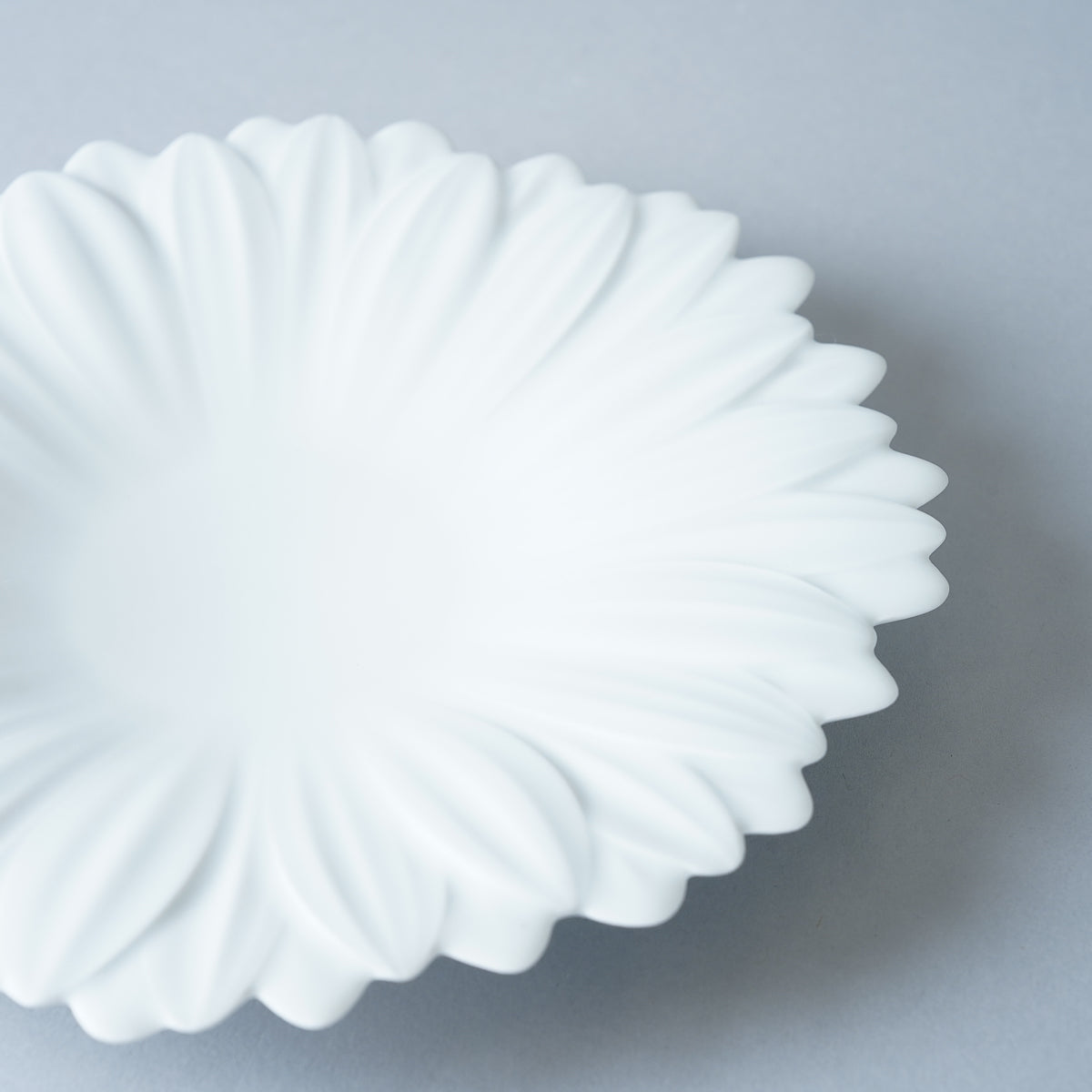 有田焼 ガーベラプレート(S) 17.5cm Riso Studio1156