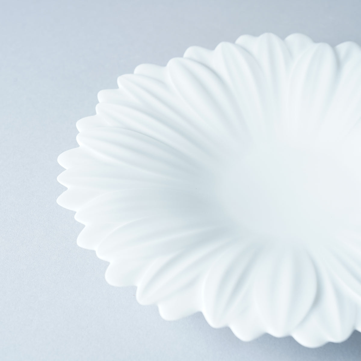 有田焼 ガーベラプレート(S) 17.5cm Riso Studio1156