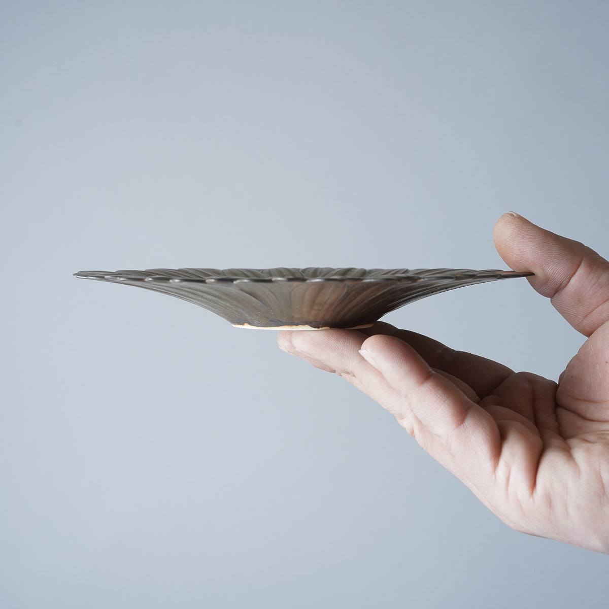 有田焼 ガーベラプレート(S) 17.5cm Riso Studio1156