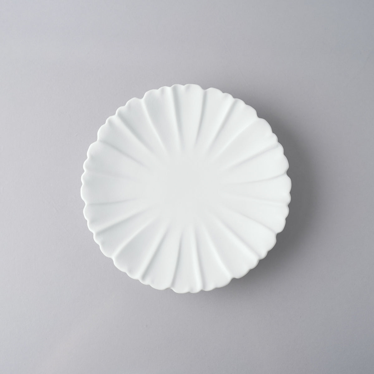 有田焼 六寸芙蓉皿 18.5cm 練 Zuiho Studio1156