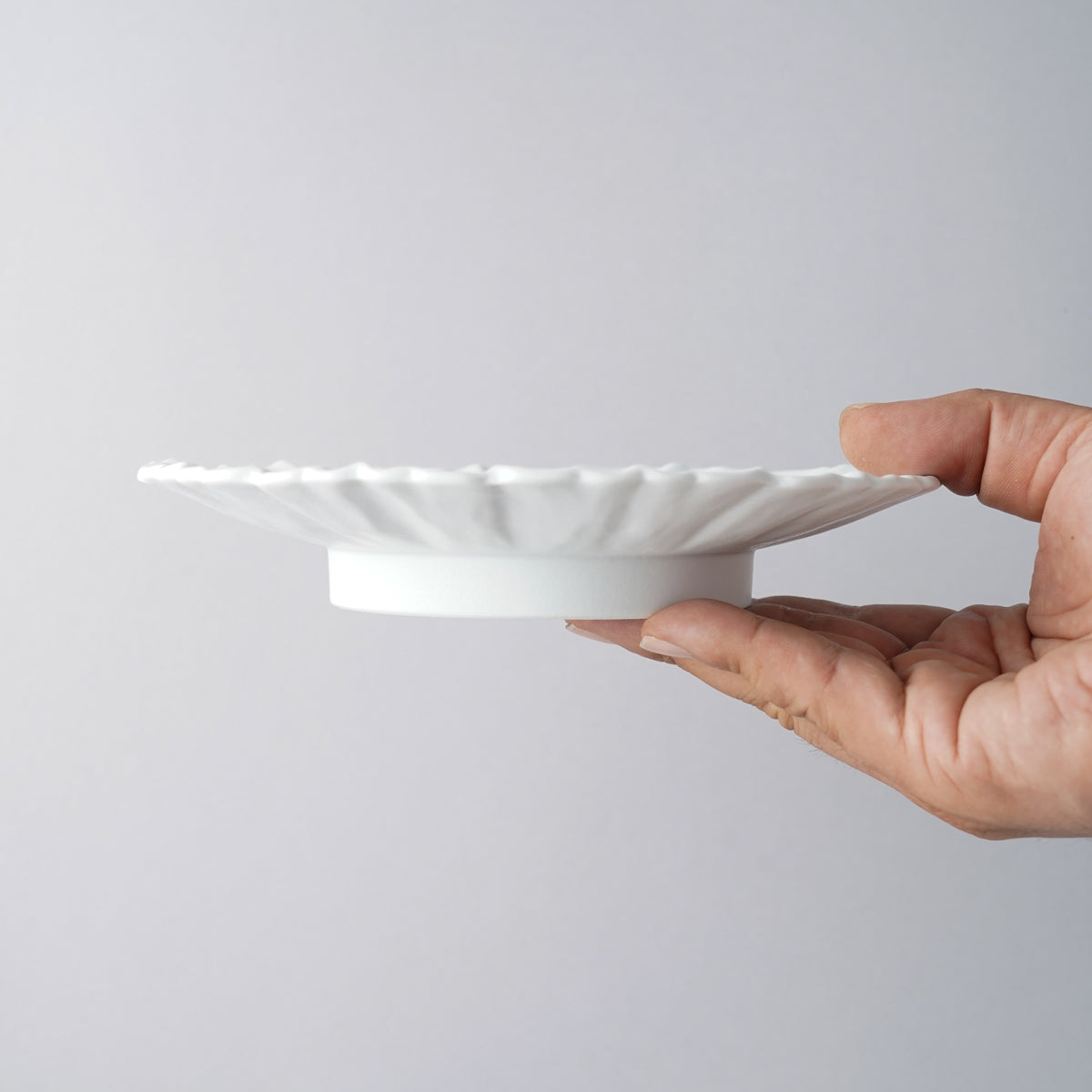 有田焼 六寸芙蓉皿 18.5cm Zuiho Studio1156