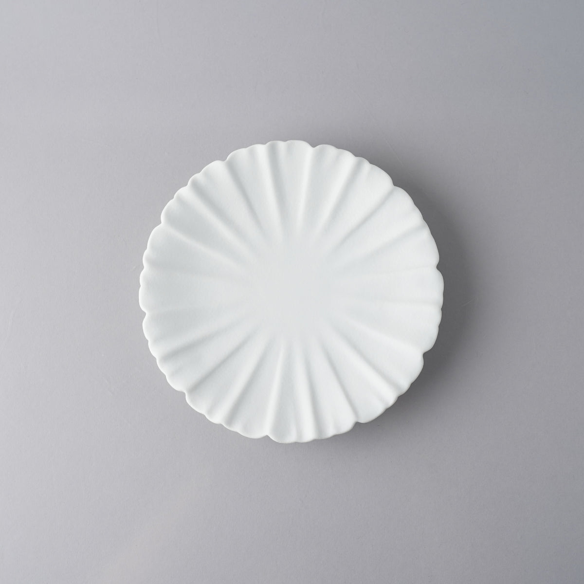 有田焼 五々寸芙蓉皿 16.5cm 練 Zuiho Studio1156