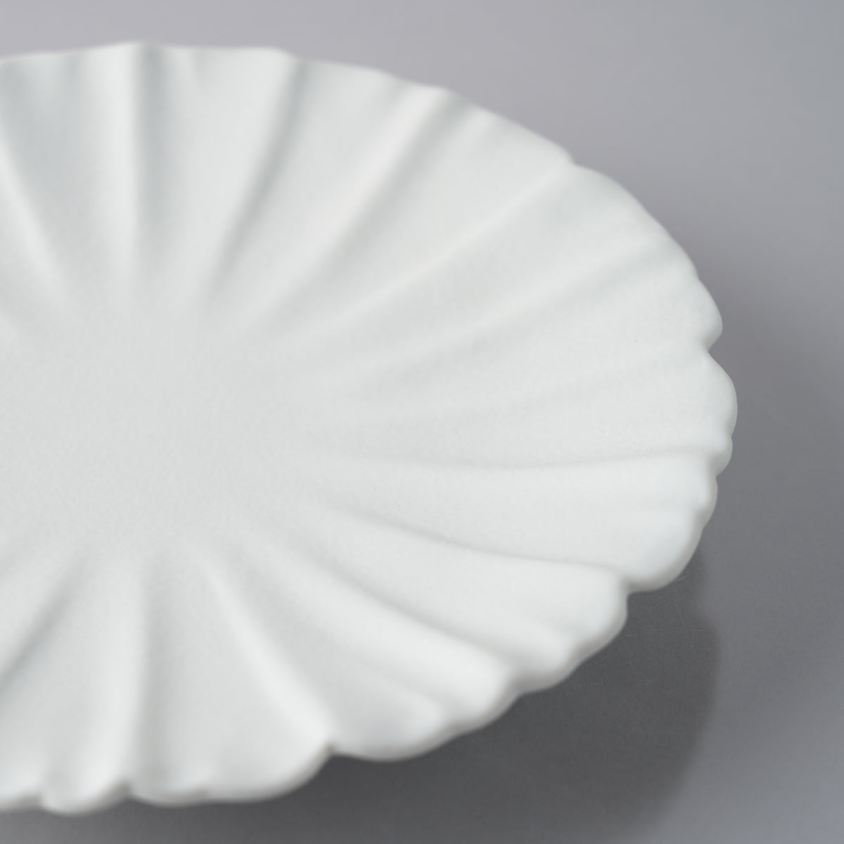 有田焼 五々寸芙蓉皿 16.5cm Zuiho Studio1156