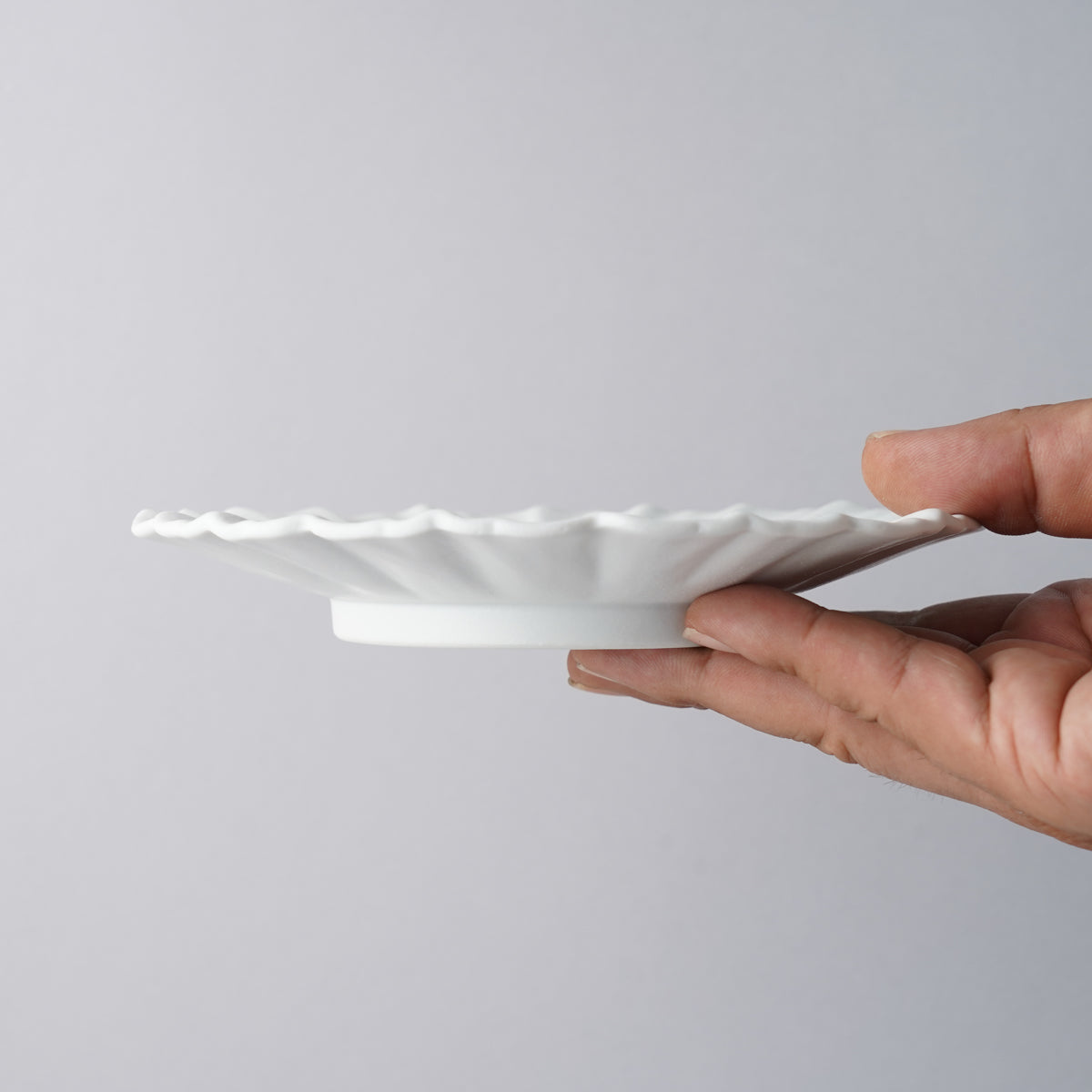 有田焼 五々寸芙蓉皿 16.5cm Zuiho Studio1156