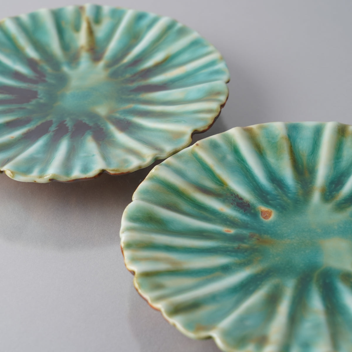 有田焼 五々寸芙蓉皿 16.5cm Zuiho Studio1156