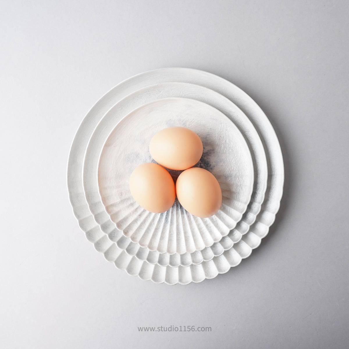 有田焼 片菊割プレート(M) 19cm Kichiemon Studio1156