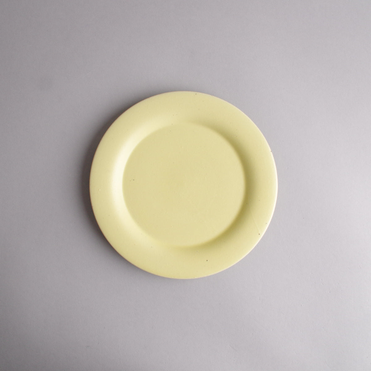 波佐見焼 JIYUシリーズ リムプレート(M) 19cm 蒲公英(たんぽぽ) nucca Studio1156