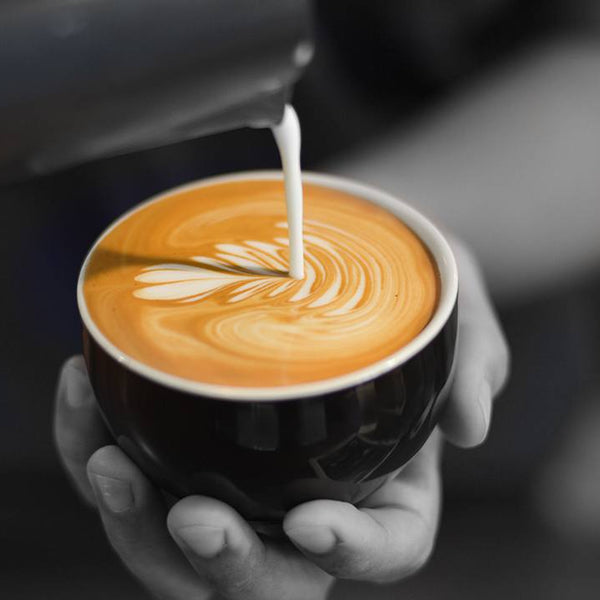 食器 COFFEEMAN fit=scale-down,w=1200