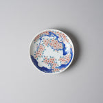 有田焼 色鍋島調 小皿 11.5cm [5 Patterns] 桜樹紋 ARITA HASAMI JAPAN Studio1156