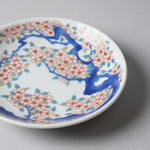 有田焼 色鍋島調 小皿 11.5cm [5 Patterns] ARITA HASAMI JAPAN Studio1156