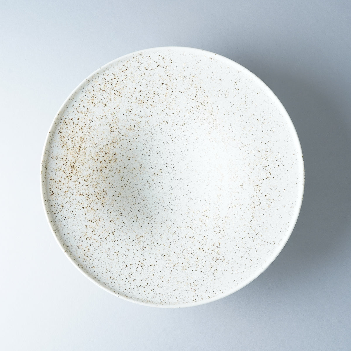 伊万里焼 斑紋 ワイドリムボウル 24.5cm Hataman Studio1156