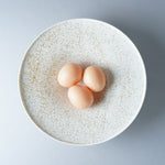伊万里焼 斑紋 ワイドリムボウル 24.5cm Hataman Studio1156
