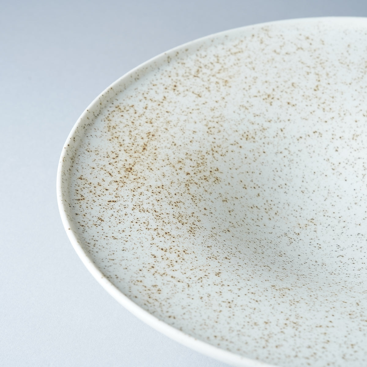 伊万里焼 斑紋 ワイドリムボウル 24.5cm Hataman Studio1156