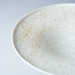 伊万里焼 斑紋 ワイドリムボウル 24.5cm Hataman Studio1156