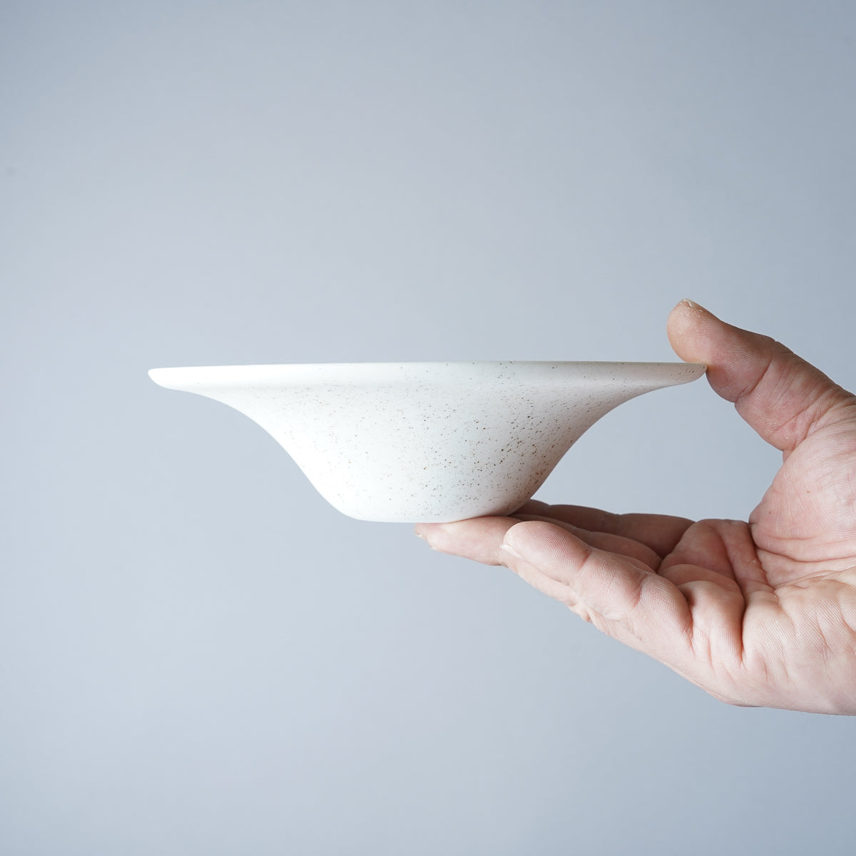 伊万里焼 斑紋 ワイドリムボウル 17.5cm Hataman Studio1156