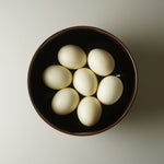 波佐見焼 六寸浅めん丼 麺鉢 18.5cm Hakusan Studio1156