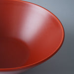 波佐見焼 RAMENBOWL ラーメンボウル WAN 20cm/1000ml Hakusan Studio1156