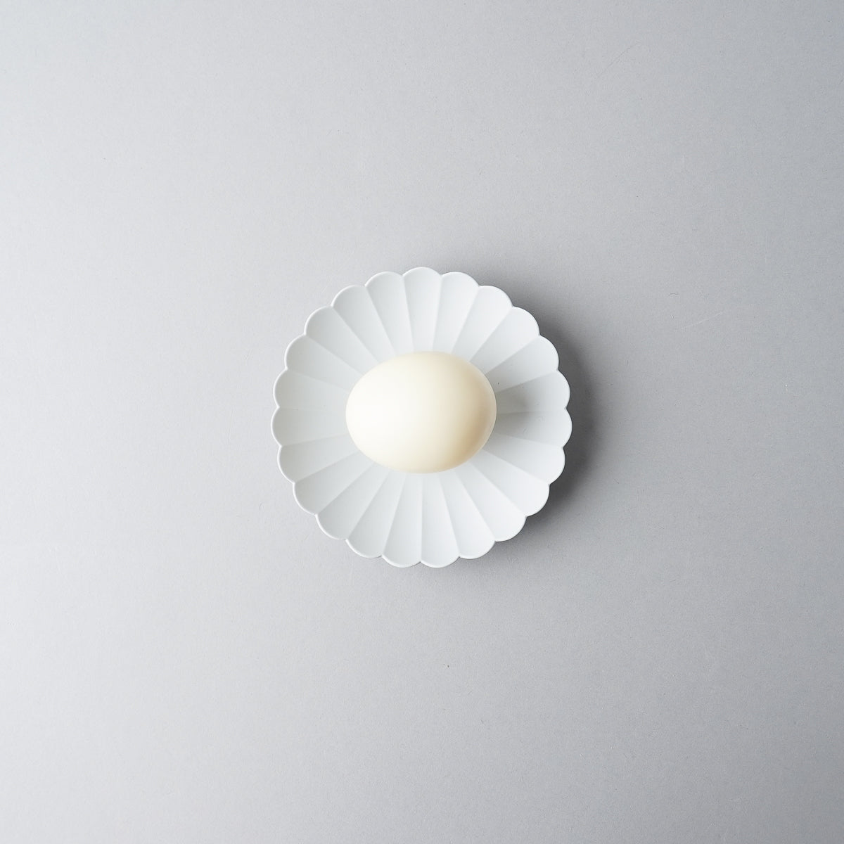 有田焼 TY Palace Plate Gray パレスプレート グレー [3Sizes] 1616 / Arita Japan Studio1156