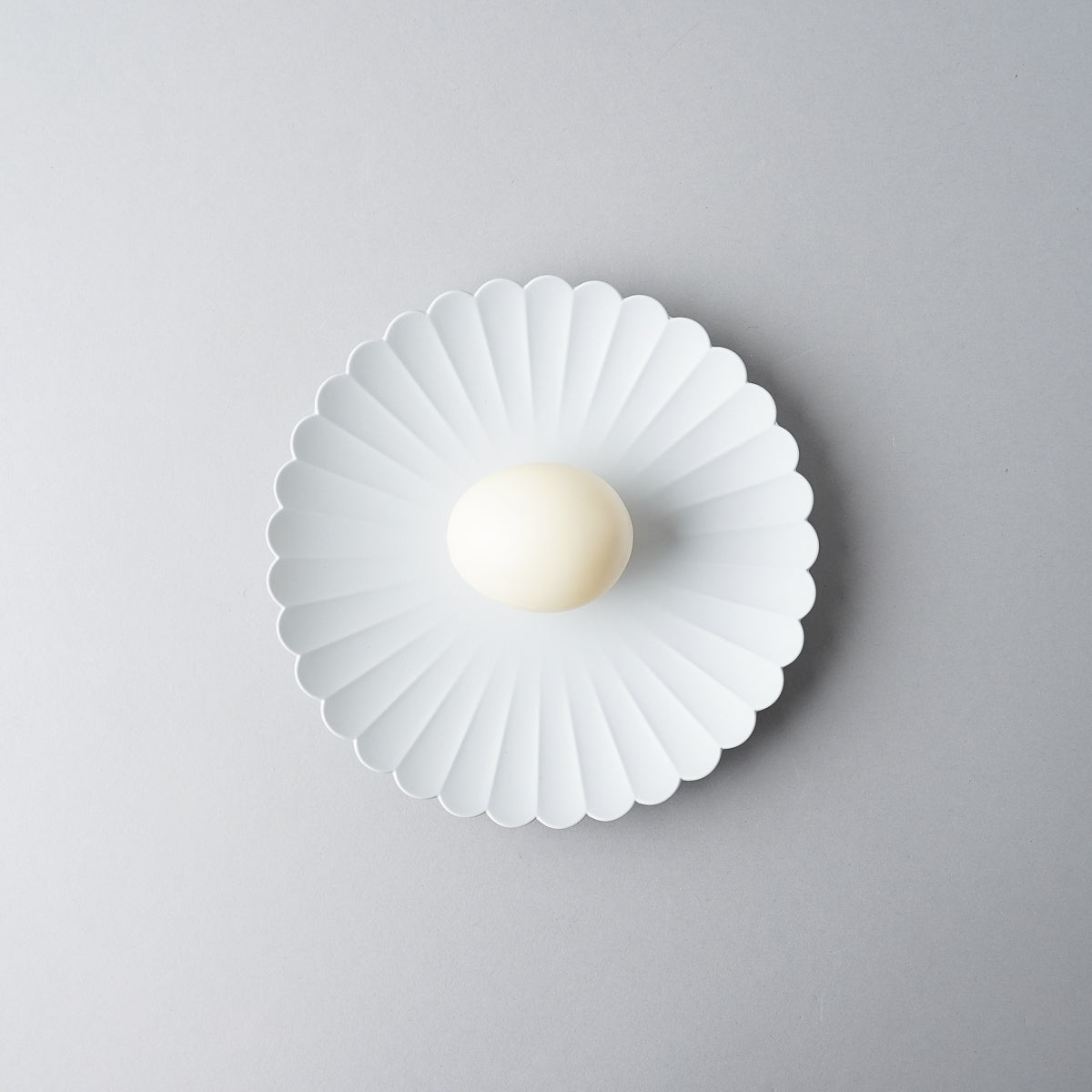 有田焼 TY Palace Plate Gray パレスプレート グレー [3Sizes] 1616 / Arita Japan Studio1156