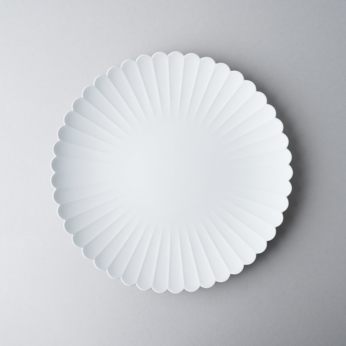 有田焼 TY Palace Plate Gray パレスプレート グレー [3Sizes] 220 1616 / Arita Japan Studio1156