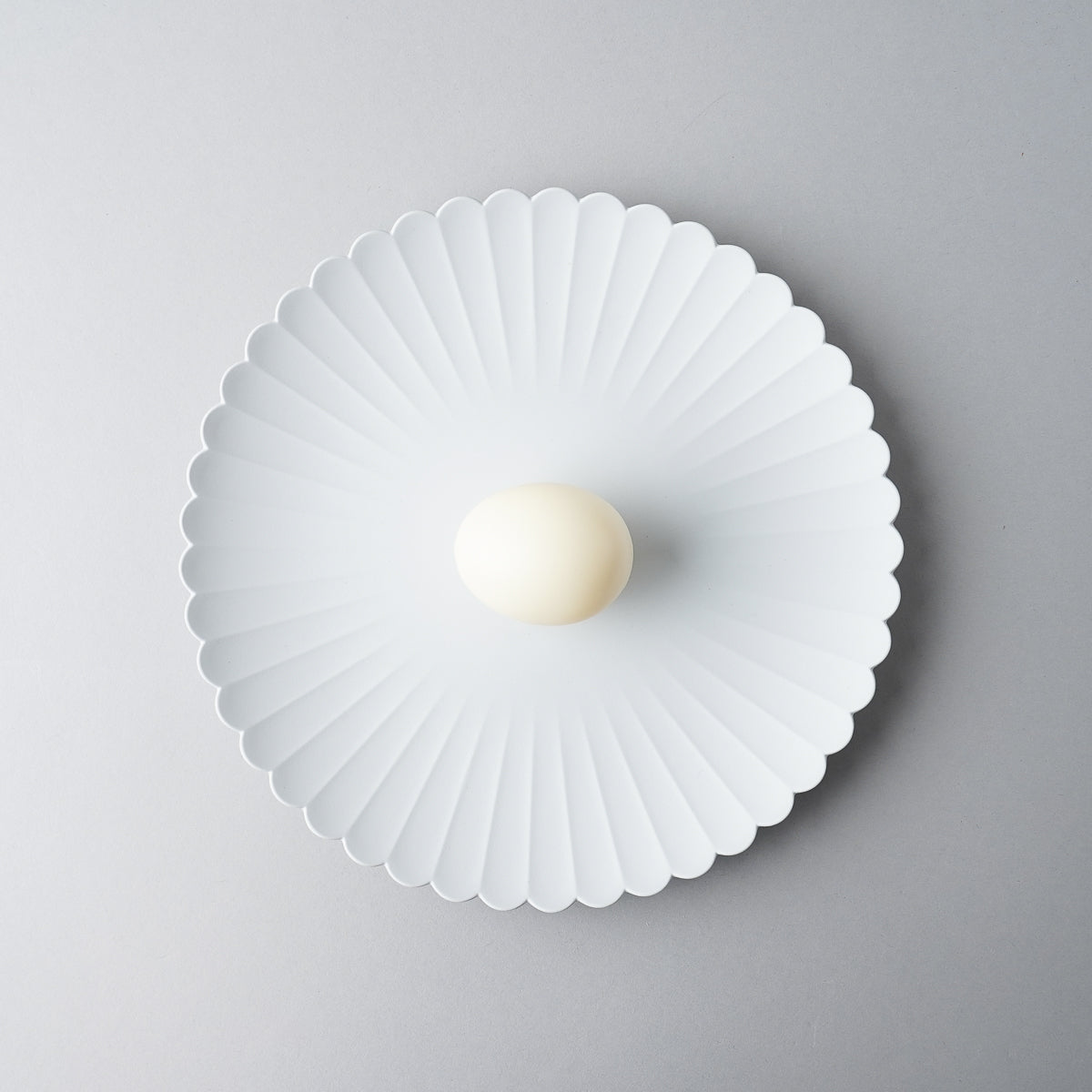 有田焼 TY Palace Plate Gray パレスプレート グレー [3Sizes] 1616 / Arita Japan Studio1156