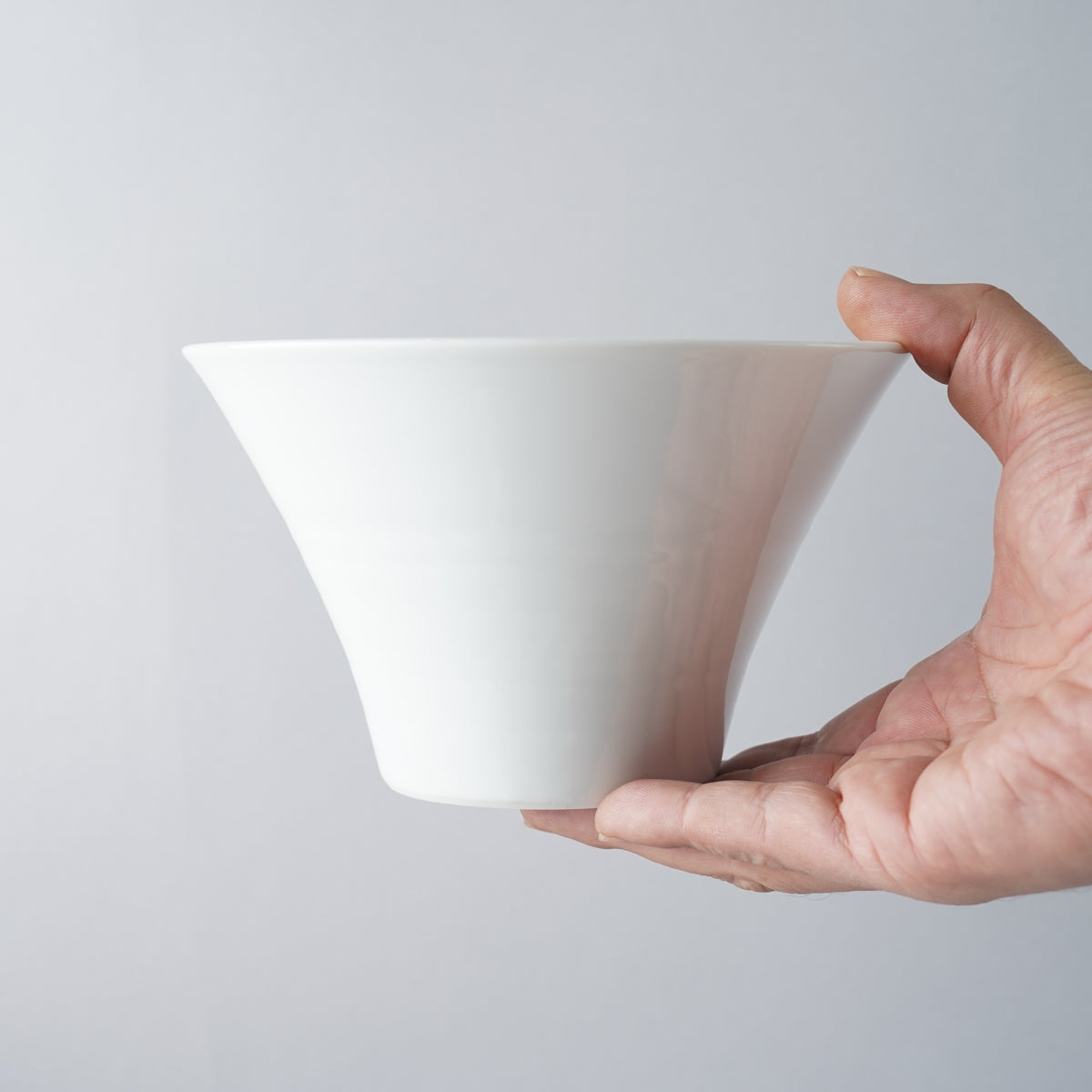 波佐見焼 ラーメン丼 いれこ碗(大) 16cm/800ml IREKOの通販