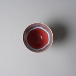 波佐見焼 いれこ碗(XS) 豆小鉢 8cm [窯変ver/3 Colors] IREKO Studio1156