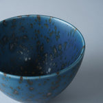 有田焼 ソフトボウル M 12cm/400ml Kanezen Studio1156