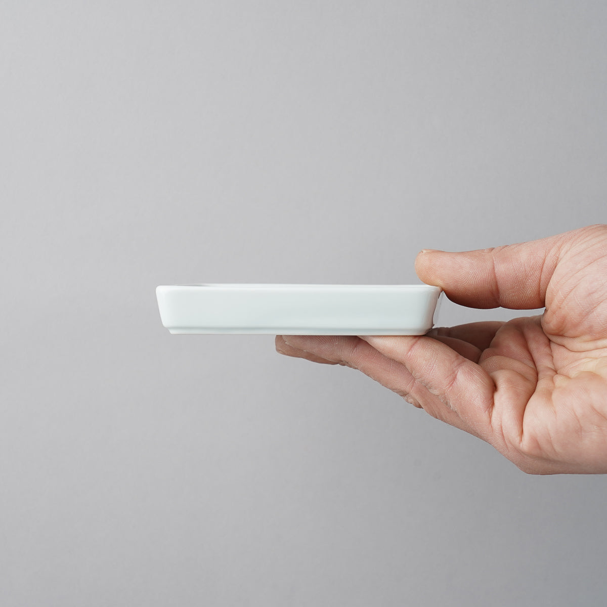 醤油皿 醤油皿 10cm 富士山 皿 食器 和食器 磁器 （ 電子レンジ対応 食