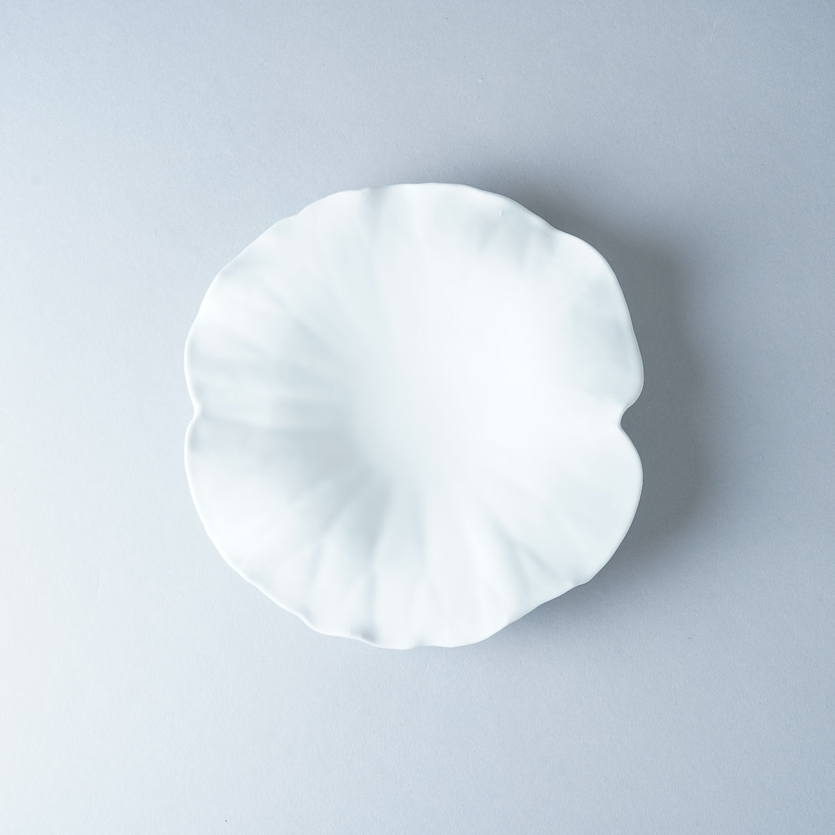 有田焼 白磁ブラスト 蓮葉プレート(S) 17cm [強化磁器] Riso Studio1156