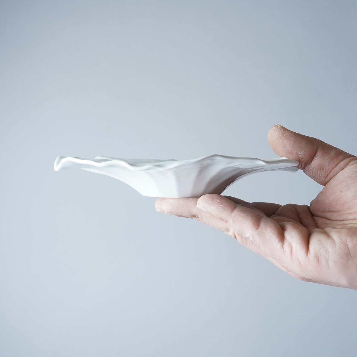 有田焼 白磁ブラスト 蓮葉プレート(S) 17cm [強化磁器] Riso Studio1156