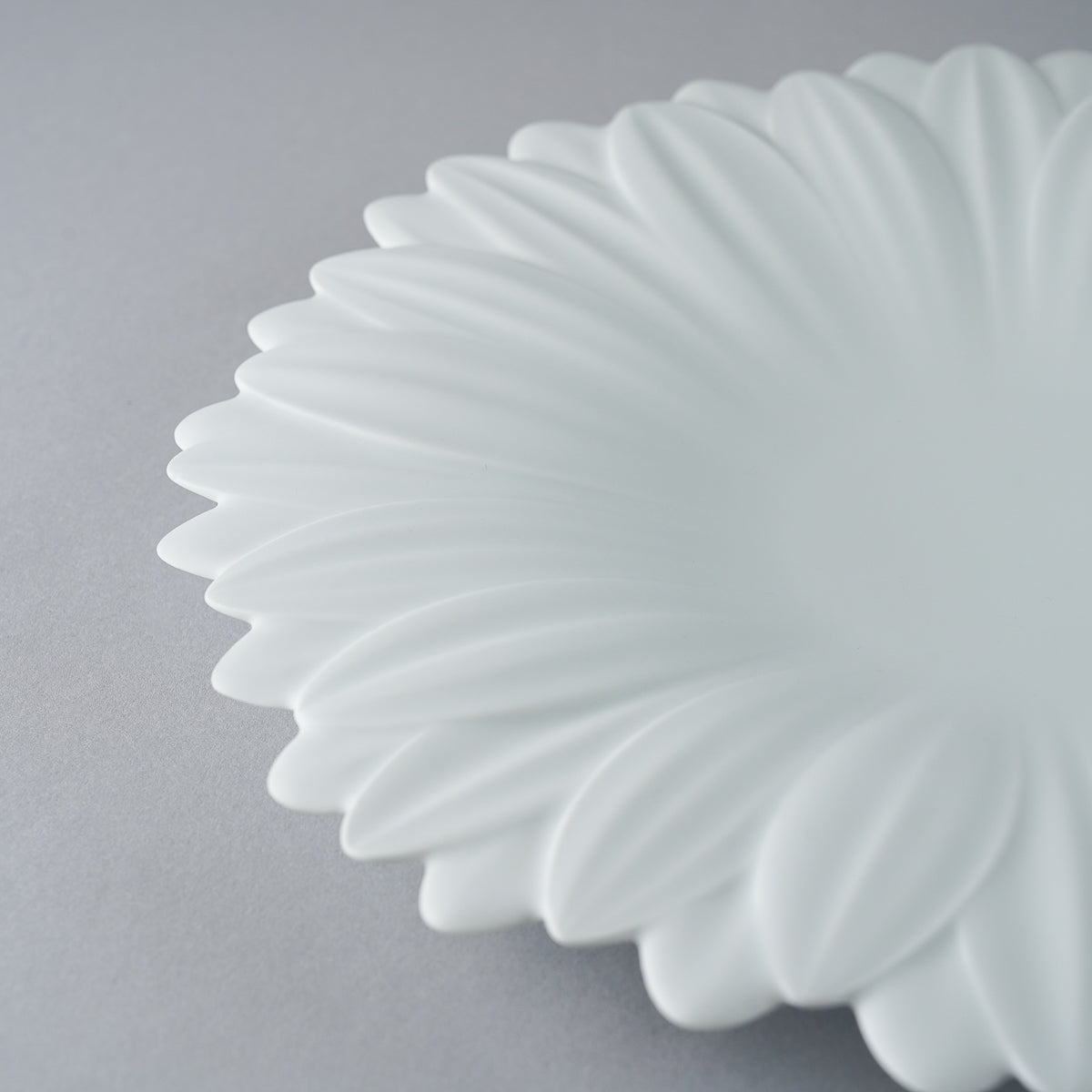 有田焼 白磁マット ガーベラプレート 27cm 李荘窯 - Studio1156