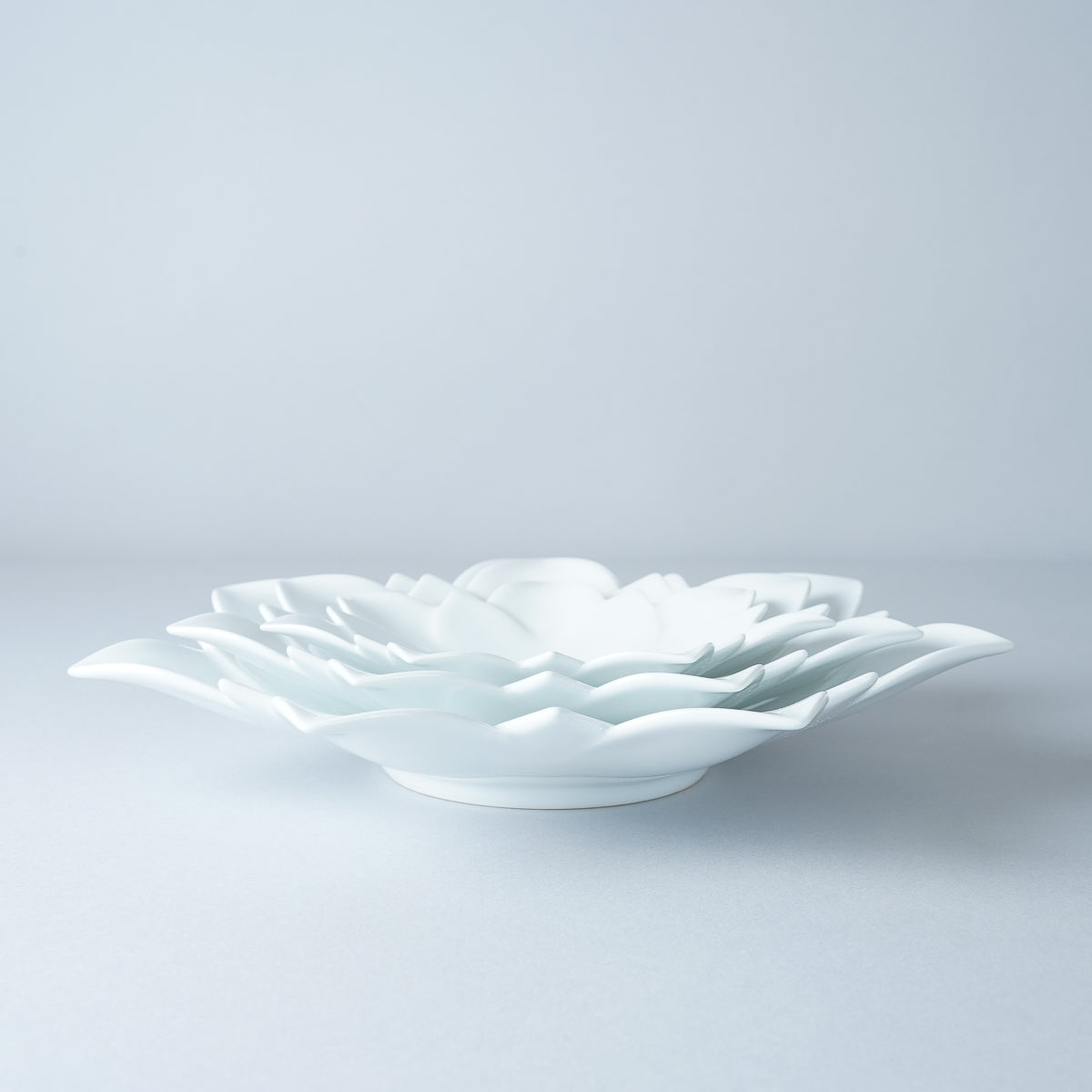 有田焼 白磁 ロータスレイヤープレート [3sizes] Riso Studio1156