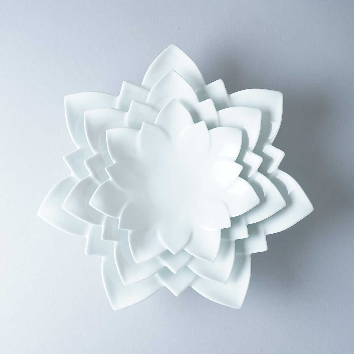 有田焼 白磁 ロータスレイヤープレート [3sizes] Riso Studio1156